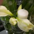 2009 02 17 015.JPG